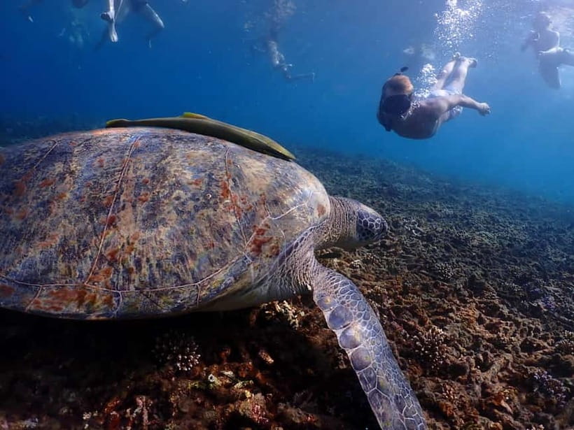 Koh Tao: Golden Hour Getaway – Your Late Start to Paradise - Why the late start works well on Koh Tao