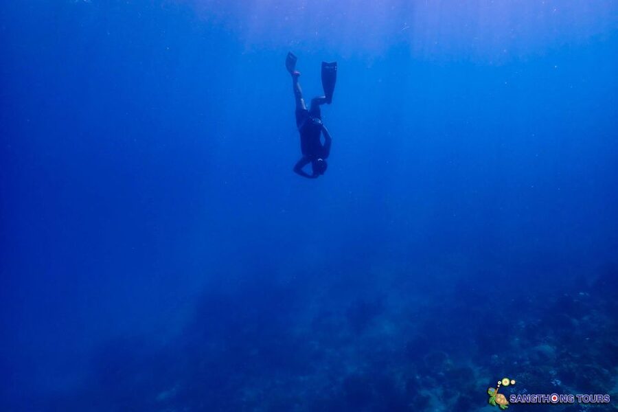 Koh Tao: Islands Snorkeling Highlights Day Tour & Lunch - Starting at Mae Haad Pier with Sangthong Tours