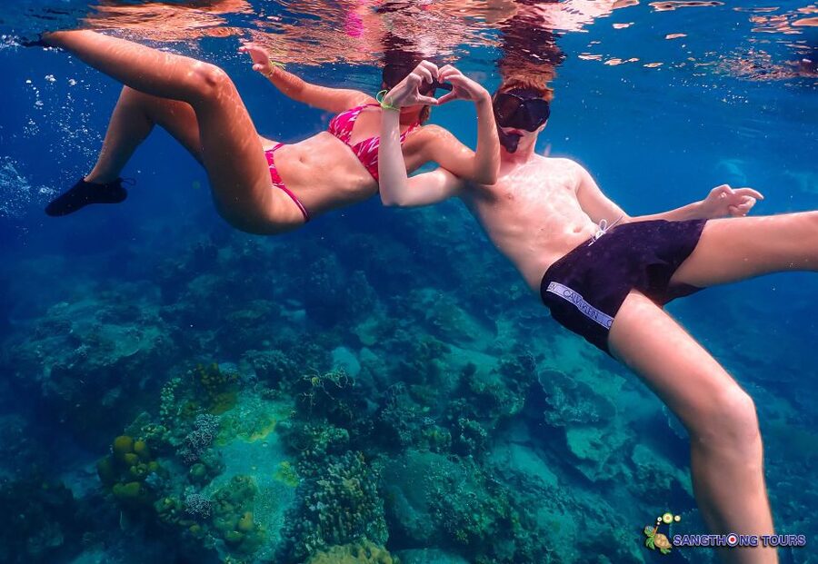 Koh Tao: Islands Snorkeling Highlights Day Tour & Lunch - Hin Wong Bay and the best chance for fast-moving fish