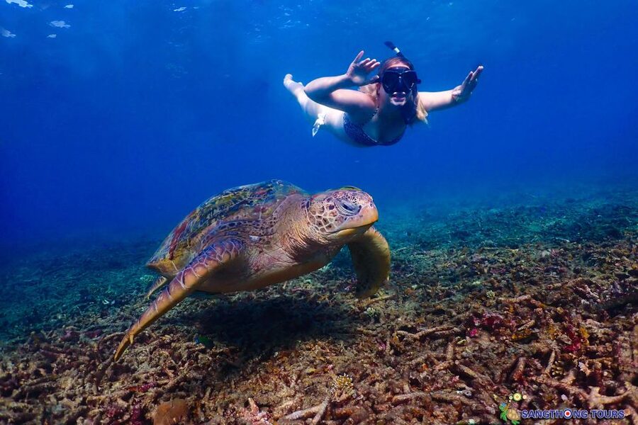 Koh Tao: Islands Snorkeling Highlights Day Tour & Lunch - Aow Luek for scenery and easy snorkeling