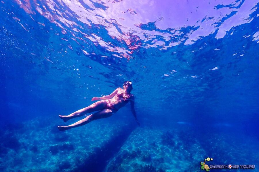 Koh Tao: Islands Snorkeling Highlights Day Tour & Lunch - Shark Bay and the search for turtles