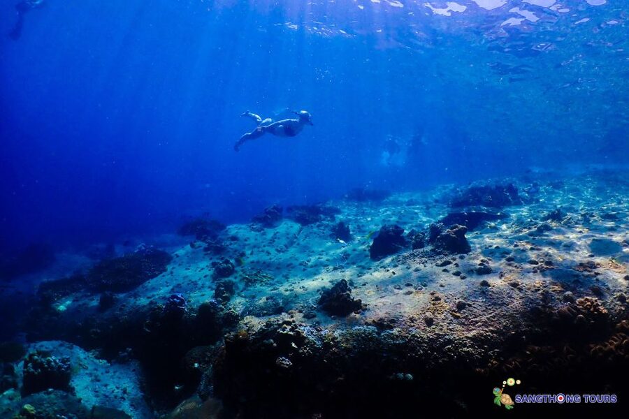 Koh Tao: Islands Snorkeling Highlights Day Tour & Lunch - Koh Nangyuan: beach, viewpoint, and Japanese Reef Garden