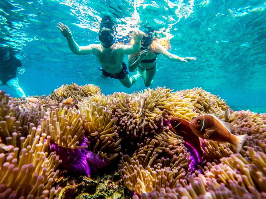 Koh Tao: Koh Nangyuan and the Hidden Bays Trip by the Oxygen - Who will enjoy this Koh Tao trip most?