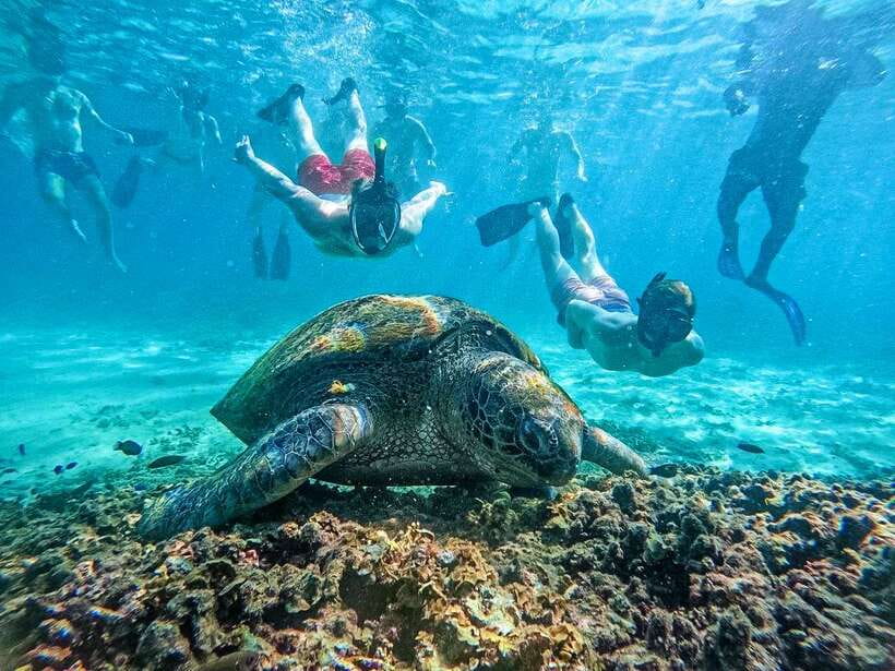 Koh Tao: Koh Nangyuan & Hidden Bays Snorkeling Tour w/ Lunch - Why this Koh Tao snorkeling day earns its price