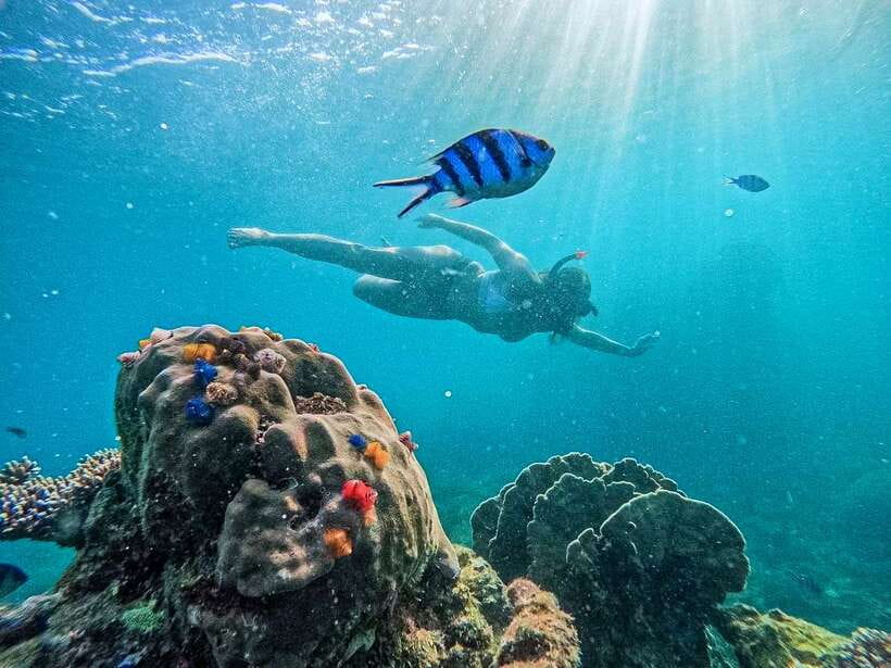 Koh Tao: Koh Nangyuan & Hidden Bays Snorkeling Tour w/ Lunch - Mango Bay: lunch and a sheltered start