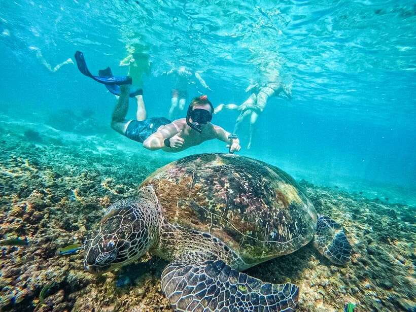 Koh Tao: Koh Nangyuan & Hidden Bays Snorkeling Tour w/ Lunch - Koh Nang Yuan and the Japanese Gardens