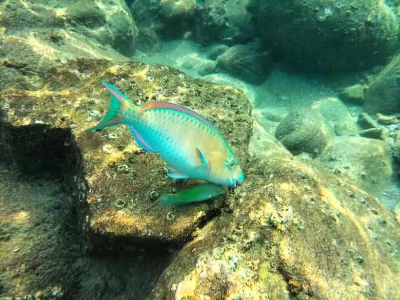 Koh Tao: Snorkeling and Sunset Tour - What the boat time feels like