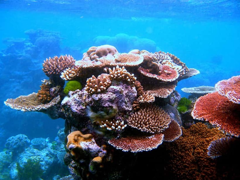Koh Tao: Snorkeling and Sunset Tour - My practical advice before you go