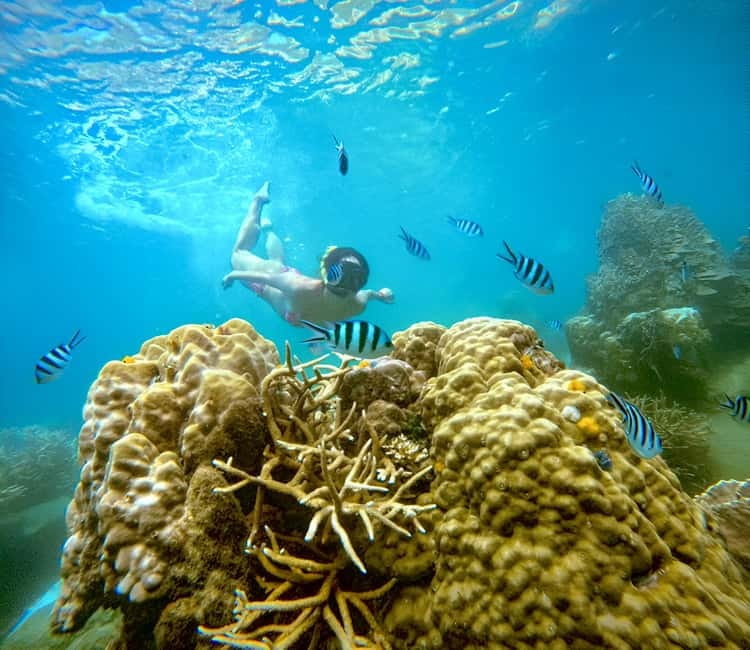 Koh Tao: Snorkeling Trip to Nang Yuan Island & Hidden Bays - Key points at a glance