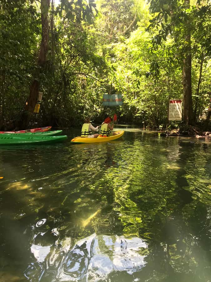 Krabi: Amazon Klong Srakaew Kayaking With Lunch - Key points to know before you book