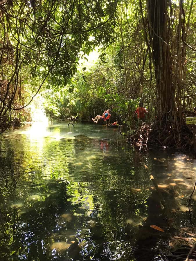 Krabi: Amazon Klong Srakaew Kayaking With Lunch - Who will enjoy this three-hour canal outing