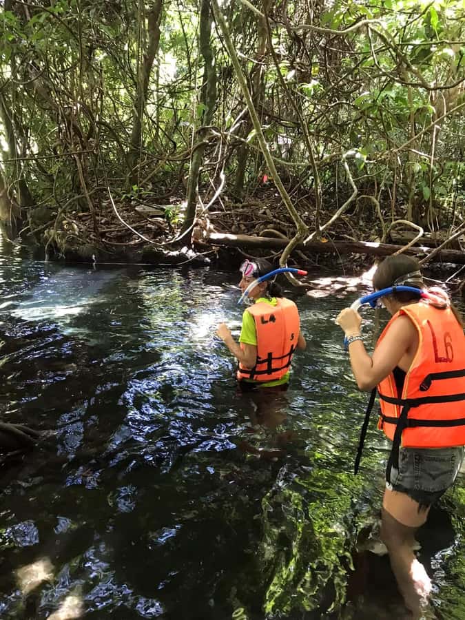 Krabi: Amazon Klong Srakaew Kayaking With Lunch - Why Klong Srakaew feels different from coastal Krabi
