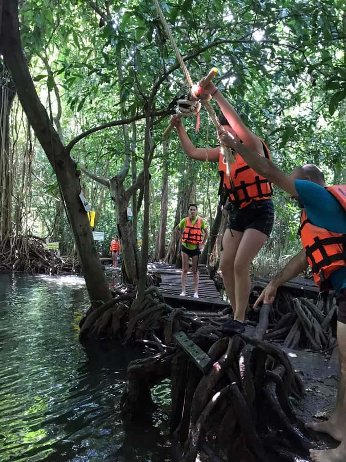 Krabi: Amazon Klong Srakaew Kayaking With Lunch - The elephant confusion you should avoid