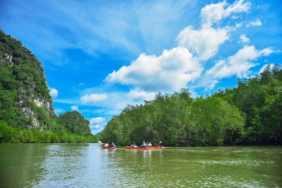 Krabi: Ao Thalane Mangrove Kayaking with Extras - Three hours among mangrove roots and limestone canyons