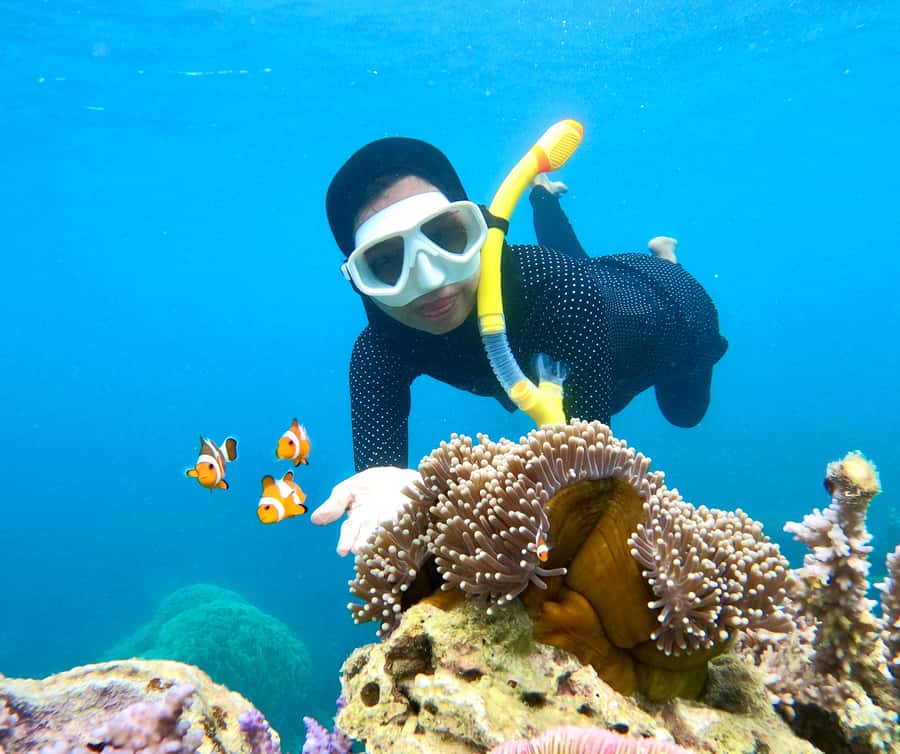 Krabi: Bioluminescent Plankton, Snorkeling & Sunset Tour - Returning to the water after sunset