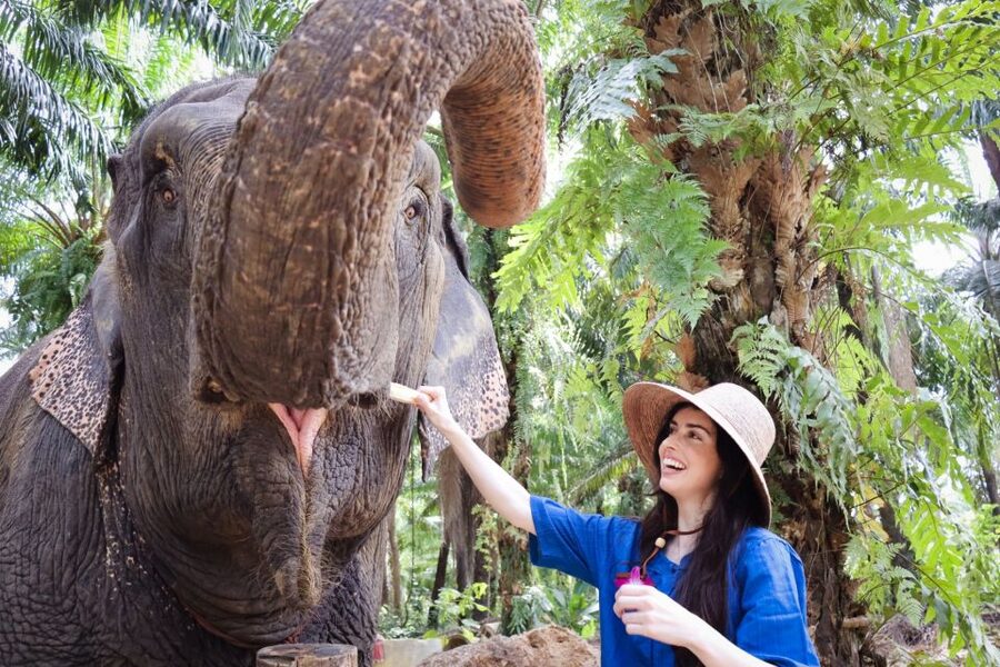 Krabi: Elephant Bathing Session at Krabi Elephant Shelter - Key points to know before booking