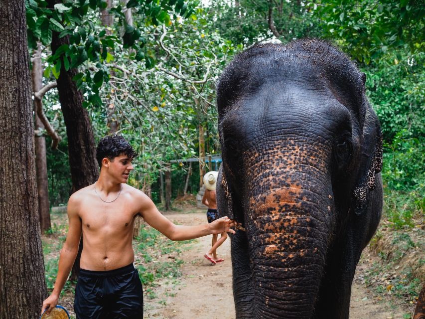 Krabi: Elephant Bathing Session at Krabi Elephant Shelter - Clothing, safety, and comfort
