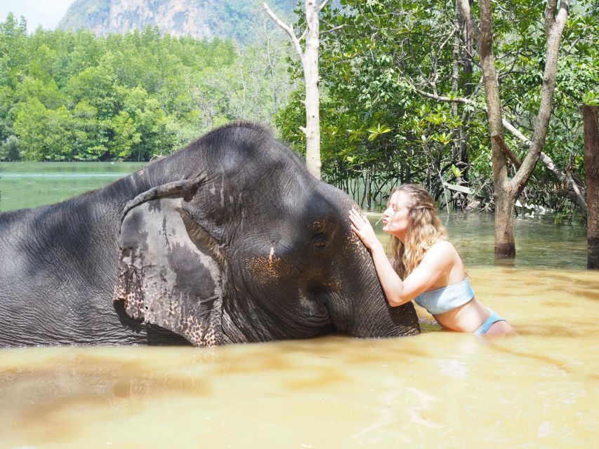 Krabi: Elephant Bathing Session at Krabi Elephant Shelter - Should you book Krabi Elephant Shelter?