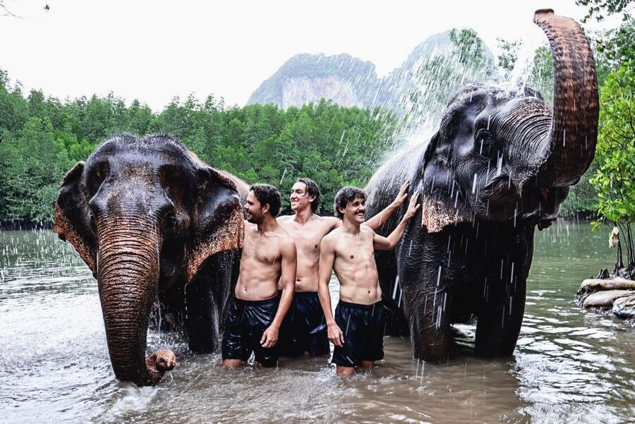 Krabi: Elephant Bathing Session at Krabi Elephant Shelter - Feeding time gives you a calm first meeting