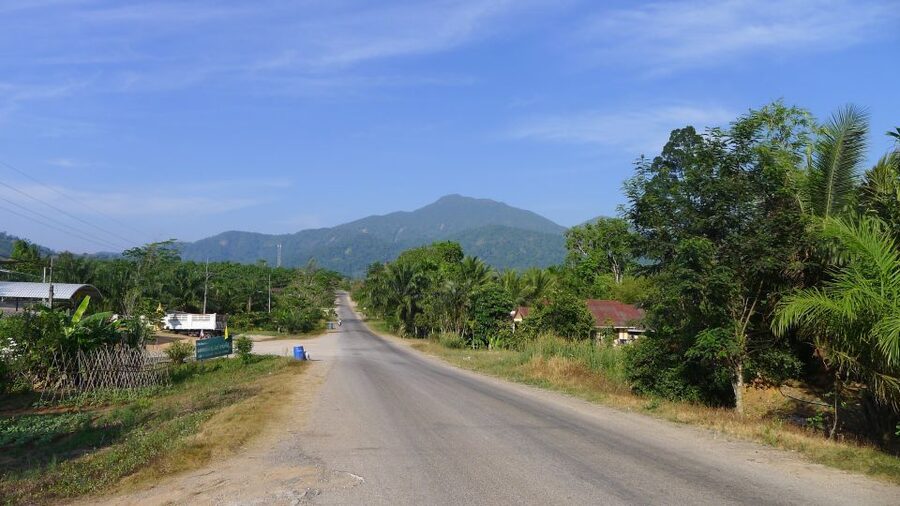 Krabi: Elephant Care House Guided Tour with Hotel Transfers - Key points to know before you go