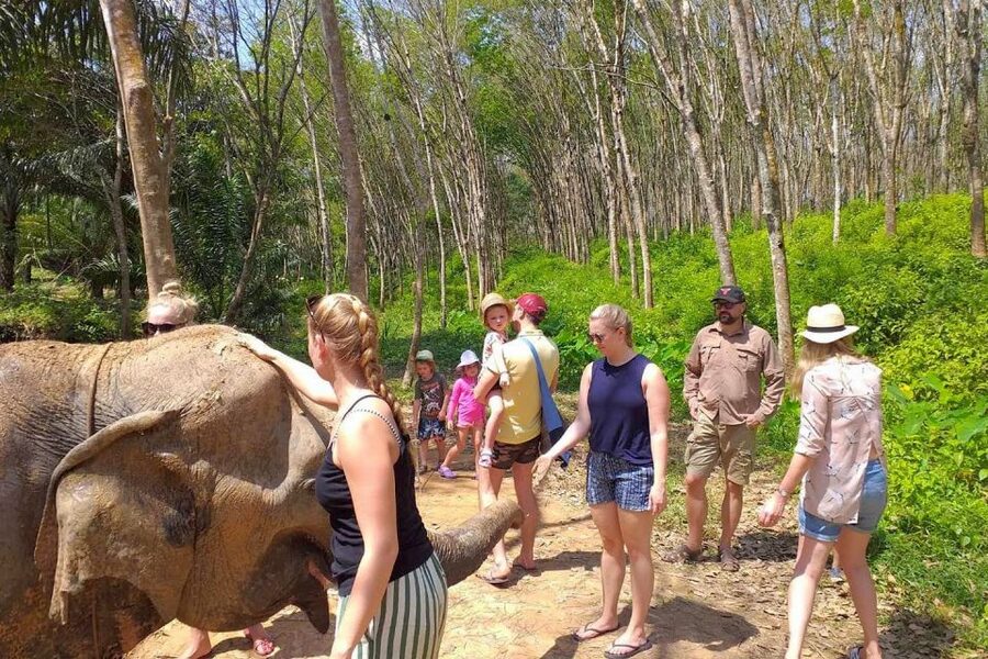 Krabi: Elephant Care House Guided Tour with Hotel Transfers - The 15-minute safety briefing