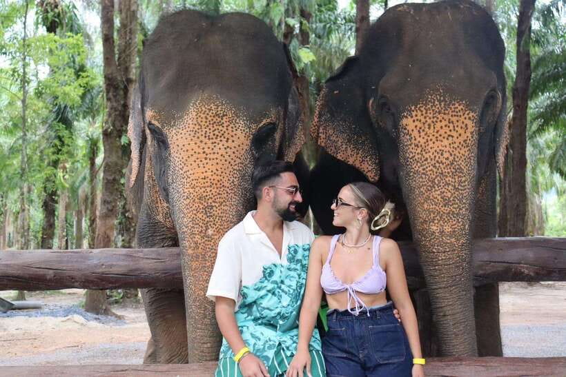 Krabi: Elephant Feeding Program - Meeting the elephants at Krabi Elephant Shelter