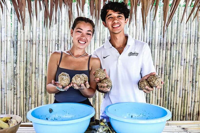 Krabi: Elephant Feeding Program - What you learn about Asian elephant behavior