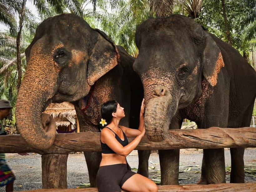 Krabi: Elephant Feeding Program with Food Preparation - Transfers from Ao Nang and nearby beaches