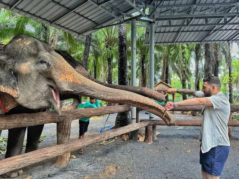Krabi: Elephant Feeding Program with Food Preparation - Chopping fruit and making mini food cakes