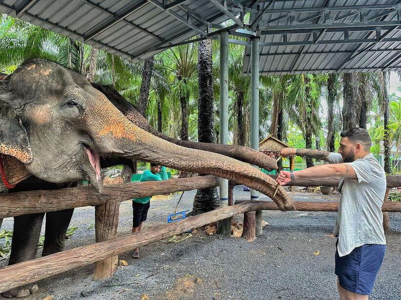 Krabi: Elephant Feeding Program - Preparing fruit and protein balls for the elephants