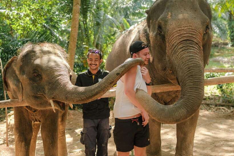 Krabi: Elephant Sanctuary (near Ao Nang) Visit - Key points to know before you book