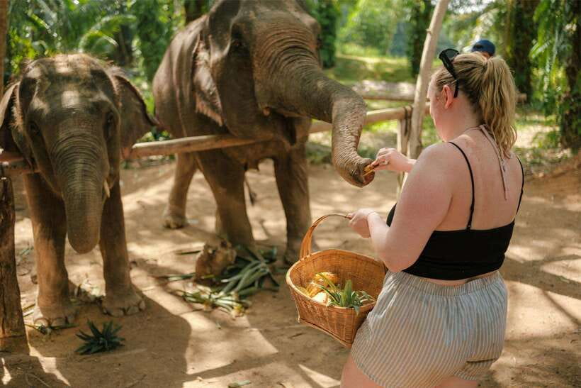 Krabi: Elephant Sanctuary (near Ao Nang) Visit - Who will enjoy this program most
