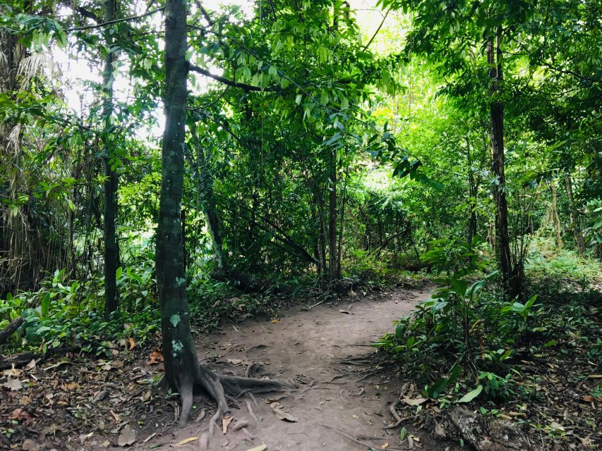 Krabi: Emerald Pool and Hot Springs Waterfall Half-Day Trip - Soaking at Krabi Hot Springs