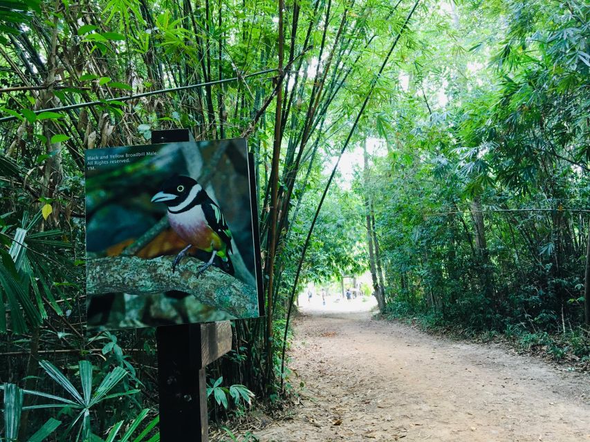 Krabi: Emerald Pool and Hot Springs Waterfall Half-Day Trip - Walking into the Emerald Pool