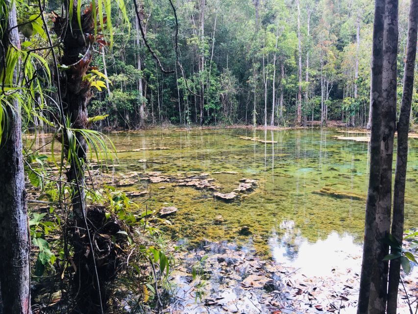 Krabi: Emerald Pool and Hot Springs Waterfall Half-Day Trip - A rainforest visit, not just a swimming trip