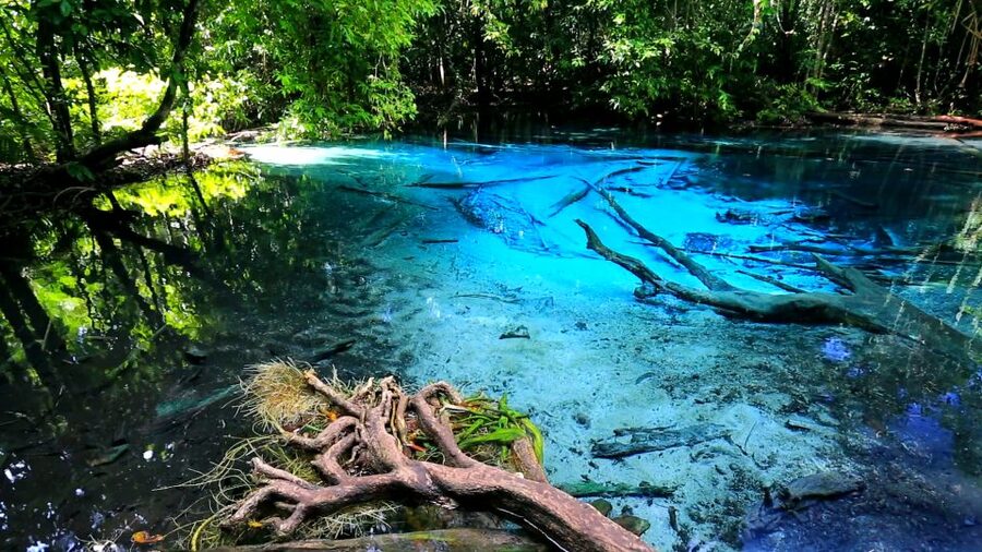 Krabi: Emerald Pool and Hot Springs Waterfall Half-Day Trip - What to bring for the water and forest