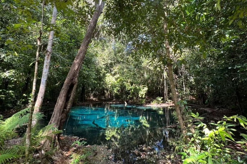 Krabi: Emerald Pool, Hot Springs, and Kayaking Tour - What Your Guide Adds