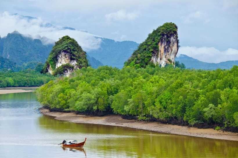 Krabi: Emerald Pool, Hot Springs & Krabi Town Day Tour - Krabi Town for statues, snacks, and shopping