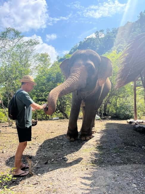 Krabi: Ethical Elephant Sanctuary & Tiger Cave Temple Tour - What to pack for the sanctuary and temple