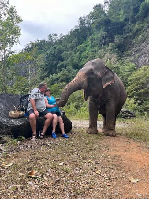 Krabi: Ethical Elephant Sanctuary & Tiger Cave Temple Tour - Who should book this Krabi experience?