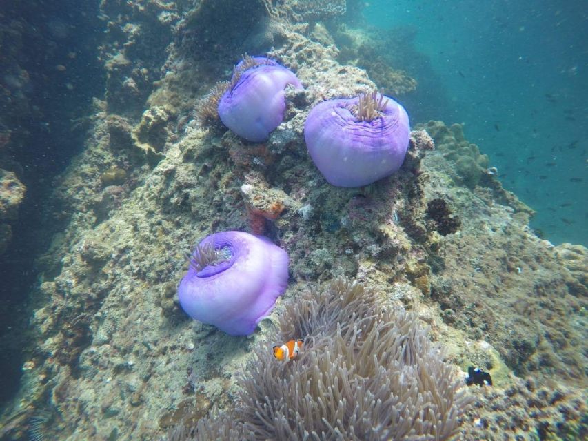 Krabi: Freediving and Snorkeling at Yawasam and Talu Island - Buya Beach on southern Koh Poda