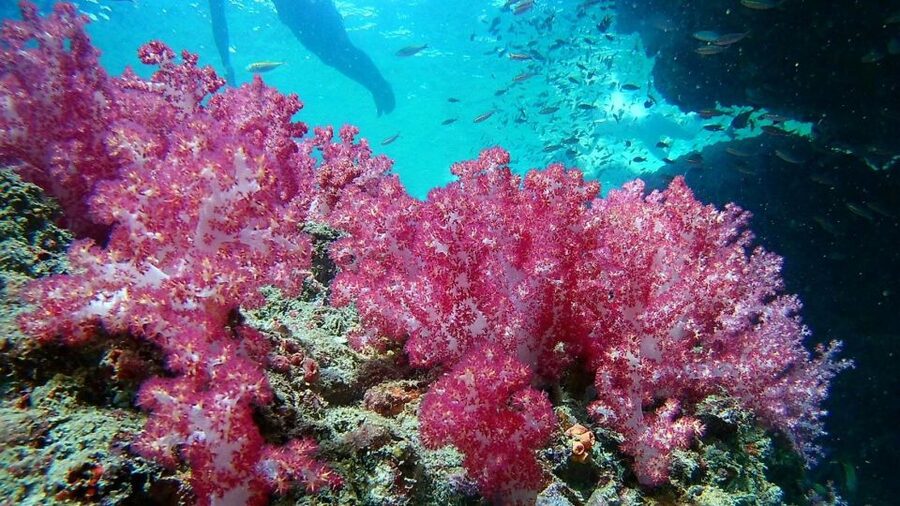 Krabi: Freediving and Snorkeling at Yawasam and Talu Island - The return past Railay Peninsula