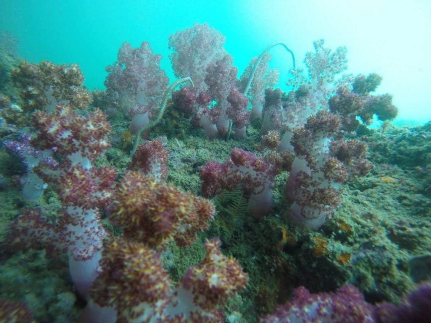 Krabi: Freediving and Snorkeling at Yawasam and Talu Island - Yawasam Island and the first 30 minutes in the water