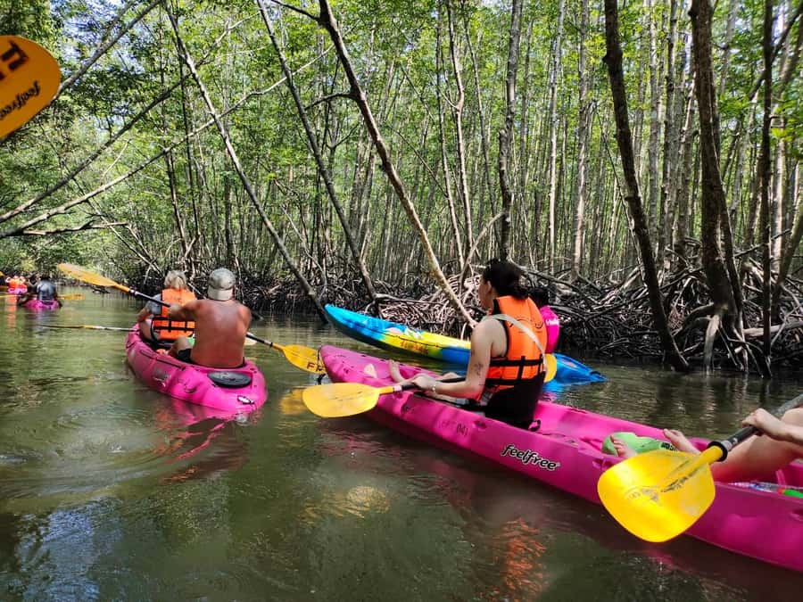 Krabi: Half-Day Kayak Adventure at Ao Thalane - The 30 to 40 Minute Ride from Ao Nang