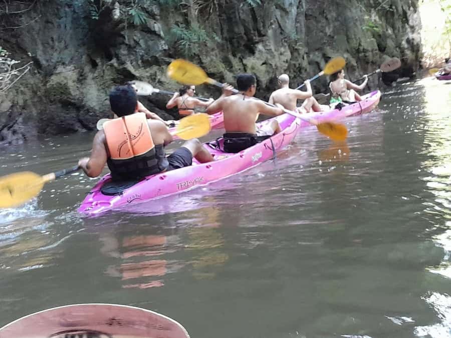 Krabi: Half-Day Kayak Adventure at Ao Thalane - Wildlife in the Mangrove Forest