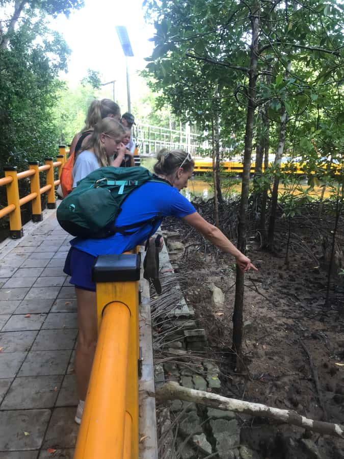 Krabi: Half-Day Mangrove Boat Trip And Khao Khanap Nam Cave - My Take: A Good Short Break with One Clear Warning