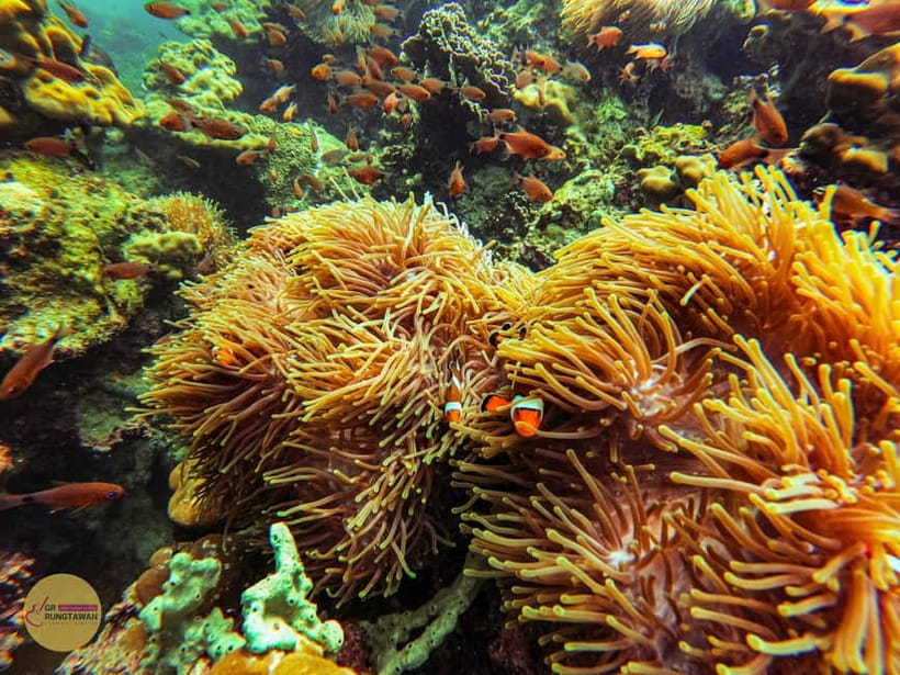 Krabi: Hong Islands Sunset, Bioluminescent Plankton and BBQ - Hong Lagoon and Hong Island’s limestone walls