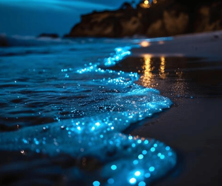 Krabi: Hong Islands Sunset, Bioluminescent Plankton and BBQ - Boat comfort and group atmosphere