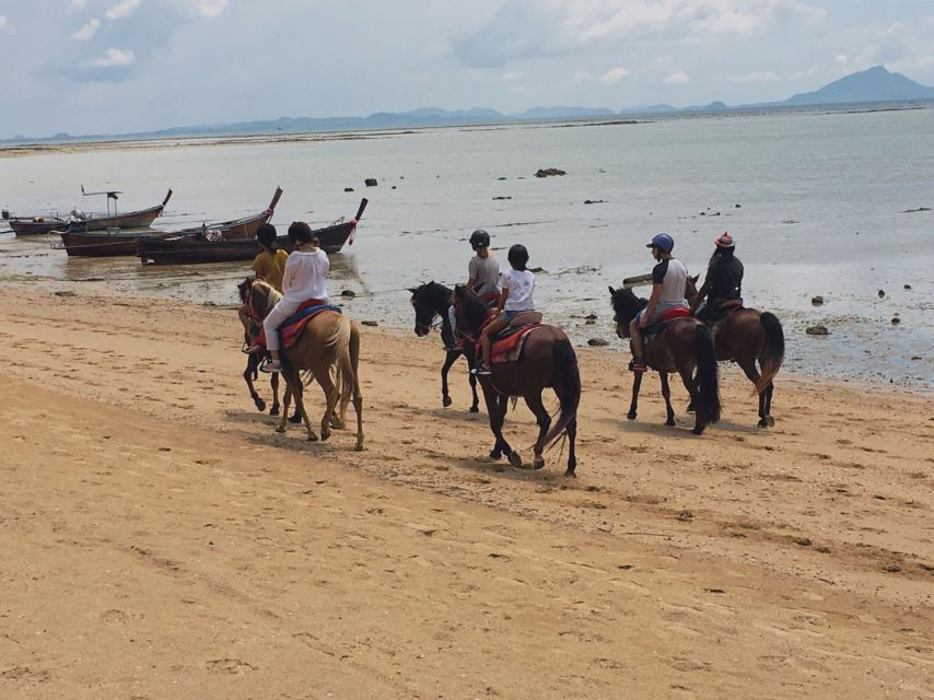 Krabi: Horseback Riding on the Beach - Starting at the Ao Nam Mao village stables