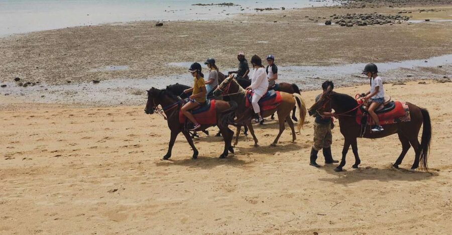 Krabi: Horseback Riding on the Beach - The 25-million-year-old shellfish fossil beach